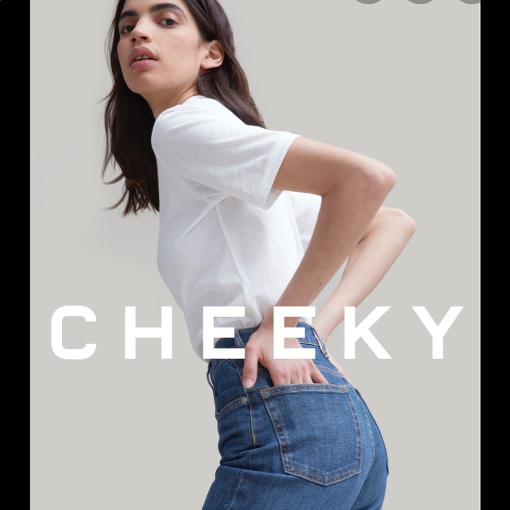 Everlane high rise cheeky straight jeans